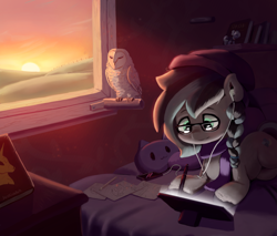 Size: 2000x1700 | Tagged: safe, artist:justgaduh, oc, oc only, bird, earth pony, owl, pony, 2022, bed, braid, drawing, drawing tablet, female, indoors, lying down, mare, old art, prone, solo, sunset