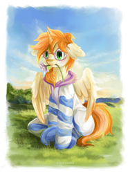 Size: 2580x3491 | Tagged: safe, artist:stearinka, oc, oc only, alicorn, pony, alicorn oc, clothes, female, flower, flower in mouth, glasses, hoodie, horn, mare, mouth hold, outdoors, passepartout, sitting, socks, wings