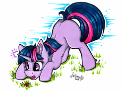 Size: 4184x3135 | Tagged: safe, artist:julunis14, twilight sparkle, insect, ladybug, pony, unicorn, g4, ass up, bent over, blank flank, cute, ear fluff, face down ass up, female, filly, filly twilight sparkle, foal, grass, horn, looking at something, markers, open mouth, signature, solo, traditional art, twiabetes, twilight hates ladybugs, unicorn twilight, young, younger