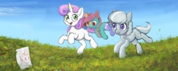 Size: 2000x800 | Tagged: safe, artist:darkdoomer, silver spoon, sweetie belle, original species, plush pony, g4, grass, grass field, paper, plushie