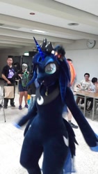 Size: 540x960 | Tagged: safe, princess luna, g4, fursuit, indoors, irl, photo, ponysuit, solo