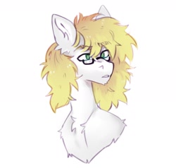 Size: 1414x1348 | Tagged: safe, artist:siatikas, oc, oc only, pony, bust, ear fluff, glasses, male, simple background, solo, stallion, white background