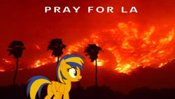 Size: 1920x1080 | Tagged: safe, artist:mlpfan3991, oc, oc:flare spark, pegasus, g4, female, fire, la wildfires, los angeles