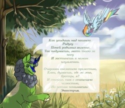 Size: 1718x1484 | Tagged: safe, artist:myannothepen, rainbow dash, oc, oc:thunder teeth, kirin, pegasus, pony, g4, cloud, cyrillic, field, flower, kirin oc, russian, translated in the description, tree