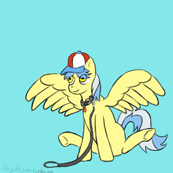 Size: 1000x1000 | Tagged: safe, artist:ponyklown, tracy flash, pegasus, pony, g4, baseball cap, cap, collar, hat, leash, pet play, sitting, smiling, solo, spread wings, underhoof, wings