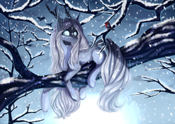 Size: 2660x1892 | Tagged: safe, artist:vitani, bird, pony, antlers, blank eyes, horns, in a tree, lying down, prone, snow, snowfall, solo, tree