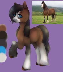 Size: 1071x1224 | Tagged: safe, artist:dorry, earth pony, horse, pony, bald face, blaze (coat marking), clothes, coat markings, facial markings, female, irl, irl horse, looking at you, mare, photo, ponified animal photo, purple background, raised hoof, simple background, socks, solo, unshorn fetlocks