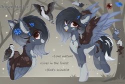 Size: 2960x2000 | Tagged: safe, artist:vitani, oc, oc only, bird, pegasus, pony, female, flower, flower in hair, jewelry, mare, necklace, reference sheet, solo, spread wings, tongue out, wings