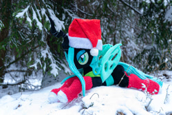 Size: 1095x730 | Tagged: safe, artist:mgrdash, queen chrysalis, changedling, changeling, pony, g4, christmas, clothes, hat, holiday, irl, photo, ponies in real life, santa hat, snow, socks, stockings, thigh highs, winter