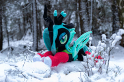 Size: 1095x730 | Tagged: safe, artist:mgrdash, queen chrysalis, changedling, changeling, pony, g4, christmas, clothes, holiday, irl, photo, plushie, ponies in real life, snow, socks, stockings, thigh highs, winter, winter outfit