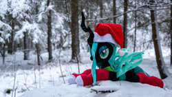 Size: 1192x670 | Tagged: safe, artist:mgrdash, queen chrysalis, changedling, changeling, pony, g4, christmas, clothes, hat, holiday, irl, photo, ponies in real life, santa hat, snow, socks, stockings, thigh highs, winter, winter outfit