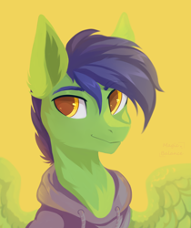 Size: 1676x2000 | Tagged: safe, artist:vitani, oc, oc only, pegasus, pony, bust, eyebrows, eyebrows visible through hair, male, portrait, simple background, smiling, solo, stallion, yellow background