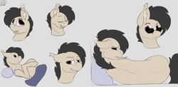 Size: 4104x2000 | Tagged: safe, artist:dsksh, oc, oc only, oc:stray light, pony, bust, glasses, grin, looking at you, lying down, male, portrait, sketch, sketch dump, smiling, stallion