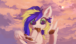 Size: 3000x1746 | Tagged: safe, artist:vitani, oc, oc only, pegasus, pony, chest fluff, cookie, eating, female, food, herbivore, mare, outdoors, solo, wing hold, wings