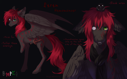 Size: 3228x2000 | Tagged: safe, artist:vitani, oc, oc only, bird, pegasus, pony, blind, dagger, reference sheet, solo, weapon, wings