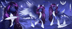 Size: 5000x2064 | Tagged: safe, artist:vitani, oc, oc only, oc:aurora, pegasus, pony, chest fluff, coat markings, concave belly, crescent moon, facial markings, female, gradient legs, jewelry, leonine tail, mare, moon, necklace, pale belly, slender, socks (coat markings), solo, star (coat marking), tail, thin