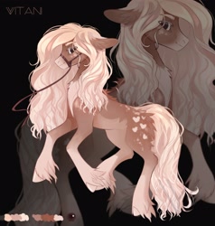 Size: 2054x2160 | Tagged: safe, artist:vitani, oc, oc only, earth pony, pony, eye clipping through hair, female, mare, reference sheet, solo, unshorn fetlocks, zoom layer