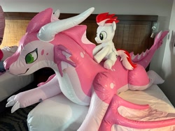 Size: 4032x3024 | Tagged: safe, artist:nekokevin, oc, oc:swift apex, dragon, original species, pegasus, plush pony, pony, bed, cerisey, imaginary creature factory, inflatable, inflatable dragon, inflatable toy, irl, megaplex, photo, plushie, riding, solo