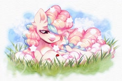 Size: 2560x1695 | Tagged: safe, artist:seurnik, oc, oc only, oc:suflya, earth pony, insect, ladybug, pony, cloud, cream coat, curly hair, ear fluff, fluffy, grass, long eyelashes, multicolored hair, ponytail, rainbow eyes, rainbow hair, smiling, solo, stars