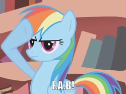 Size: 578x431 | Tagged: safe, edit, edited screencap, screencap, rainbow dash, pegasus, pony, dragonshy, g4, my little pony: friendship is magic, caption, cropped, golden oaks library, image macro, imgflip, indoors, rainbow dash salutes, reference to another series, solo, text, thunderbirds, wings