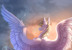 Size: 3556x2500 | Tagged: safe, artist:universalevil, oc, oc only, pegasus, pony, flying, outdoors, partially open wings, signature, sky, solo, wings