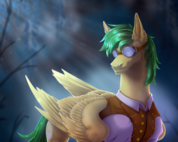 Size: 2500x2000 | Tagged: safe, artist:eville6, artist:universalevil, oc, oc only, oc:bronycars, pegasus, pony, aviator goggles, clothes, commission, ear fluff, goggles, male, shirt, solo, stallion, vest, ych result