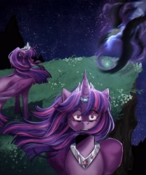 Size: 2500x3000 | Tagged: safe, artist:slapearl, nightmare rarity, rarity, twilight sparkle, alicorn, pony, g4, alternate hairstyle, crown, crying, duo, duo female, female, grass, gritted teeth, horn, horn ring, jewelry, lesbian, mare, markings, night, outdoors, redesign, regalia, ring, sad, ship:rarilight, shipping, teeth, twilight sparkle (alicorn), unshorn fetlocks