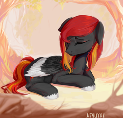 Size: 7232x6912 | Tagged: safe, artist:utauyan, oc, oc only, oc:flame runner, pegasus, pony, colored wings, eyes closed, floppy ears, lying down, prone, solo, wings