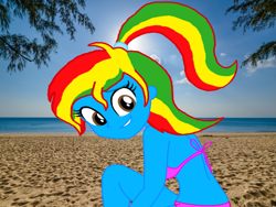 Size: 1693x1270 | Tagged: safe, artist:darkplayerferraz269, artist:shieldwingarmorofgod, oc, oc only, oc:royal strength, human, equestria girls, g4, beach, belly, belly button, bikini, blue skin, clothes, female, midriff, multicolored hair, outdoors, pink bikini, pink swimsuit, ponytail, solo, swimsuit