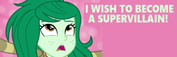 Size: 1728x563 | Tagged: safe, edit, edited screencap, screencap, wallflower blush, equestria girls, equestria girls specials, g4, my little pony equestria girls: forgotten friendship, wish, wishing