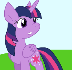 Size: 805x788 | Tagged: safe, artist:cmara, twilight sparkle, alicorn, pony, g4, female, solo, twilight sparkle (alicorn)