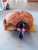 Size: 1440x1920 | Tagged: safe, twilight sparkle, alicorn, pony, g4, burger, eating, food, giant food, hammerspace belly, implied stuffing, irl, nom, photo, solo, stuffing, that pony sure does love burgers, wings