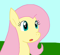 Size: 728x667 | Tagged: safe, artist:cmara, fluttershy, pegasus, pony, g4, female, solo