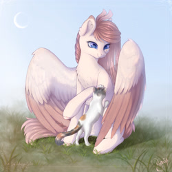 Size: 1920x1920 | Tagged: safe, artist:fasutell-a, artist:maravor, oc, oc:vanilla ray, cat, pegasus, pony, colored wings, female, mare, solo, two toned wings, wings