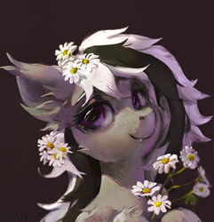 Size: 1929x2000 | Tagged: safe, artist:rvsd, oc, oc only, oc:wafflejuice, bat pony, pony, bat pony oc, bouquet, bust, commission, daisy (flower), ear fluff, ear tufts, fangs, female, flower, flower in hair, mare, smiling, solo