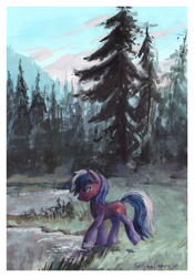 Size: 1510x2157 | Tagged: safe, artist:satynapaper, oc, oc only, oc:proudy hooves, earth pony, pony, 2015, commission, earth pony oc, forest, gouache, green eyes, lake, looking back, male, nature, scenery, smiling, solo, stallion, traditional art, tree, water, ych result