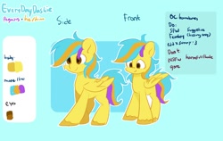 Size: 1264x800 | Tagged: safe, artist:skylinepony_, oc, oc only, pegasus, pony, reference sheet, solo