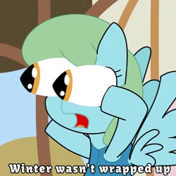 Size: 1280x1280 | Tagged: safe, artist:cosmicwaves35, wind chill, pegasus, g4, my little pony: friendship is magic, winter wrap up, big eyes, not again, not suprised, simple background, solo