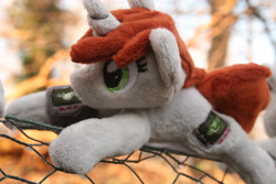 Size: 3888x2592 | Tagged: safe, artist:bastler, oc, oc:littlepip, unicorn, fallout equestria, horn, irl, photo, pipbuck, plushie, unicorn oc