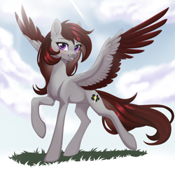 Size: 2872x2872 | Tagged: safe, artist:sierraex, oc, oc only, pegasus, pony, concave belly, outdoors, pegasus oc, slender, solo, thin