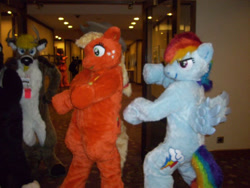 Size: 800x600 | Tagged: safe, artist:spainfischer, applejack, rainbow dash, oc, g4, 2011, anthrocon, duo focus, furry, furry oc, fursuit, indoors, irl, photo, ponysuit