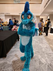 Size: 1500x2000 | Tagged: safe, princess ember, g4, fursuit, indoors, irl, photo, ponyville ciderfest, solo focus