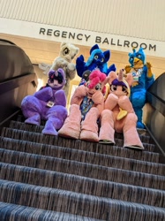 Size: 2383x3178 | Tagged: safe, derpy hooves, pinkie pie, princess cadance, twilight sparkle, oc, oc:water wings, g4, fursuit, group, group photo, hooves on cheeks, indoors, irl, photo, ponysuit, sextet, sitting, solo, stairs