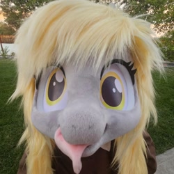 Size: 1080x1080 | Tagged: safe, derpy hooves, g4, fursuit, irl, outdoors, photo, ponysuit, solo