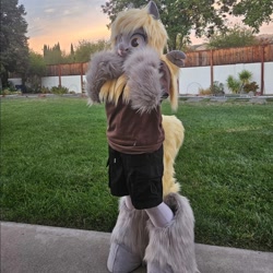 Size: 1080x1080 | Tagged: safe, derpy hooves, g4, fursuit, irl, outdoors, photo, ponysuit, solo