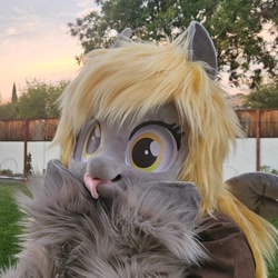 Size: 1080x1080 | Tagged: safe, derpy hooves, g4, fursuit, irl, outdoors, photo, ponysuit, solo