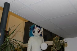 Size: 2074x1382 | Tagged: safe, artist:atalonthedeer, dj pon-3, vinyl scratch, g4, 2013, fursuit, indoors, irl, photo, ponysuit, solo, wwu