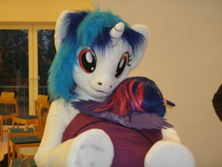 Size: 3648x2736 | Tagged: safe, artist:atalonthedeer, dj pon-3, vinyl scratch, human, g4, 2013, duo, fursuit, indoors, irl, irl human, photo, ponysuit, wwu