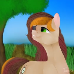 Size: 1500x1500 | Tagged: safe, artist:dorry, oc, oc only, earth pony, pony, earth pony oc, eyepatch, female, female oc, grass, grass field, green eyes, looking up, mare, mare oc, old art, outdoors, tree