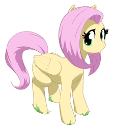 Size: 910x1024 | Tagged: artist needed, safe, fluttershy, pegasus, g4, cute, cute eyes, grass, looking at you, simple background, solo, standing, white background